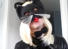 nickiiCat - profil